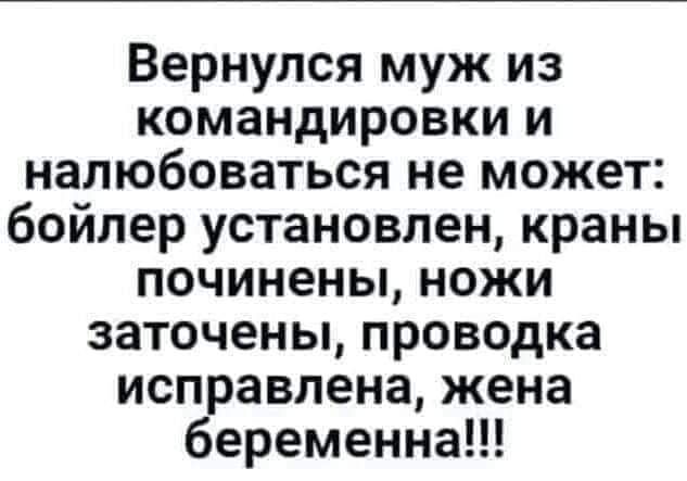Вернулся муж из командировки и налюбоваться не может бойлер установлен краны починены ножи заточены проводка исправлена жена беременна