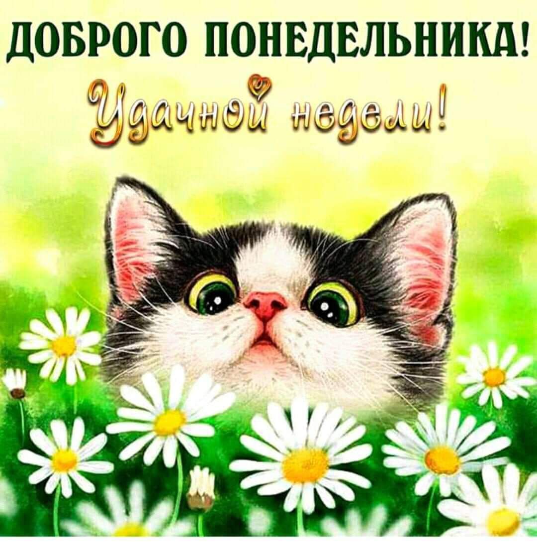 ДОБРОГО ПОНЕДЕЛЬНИКА ЧЖЭЫ ЫЁЁЪСЭЩЫ Ш