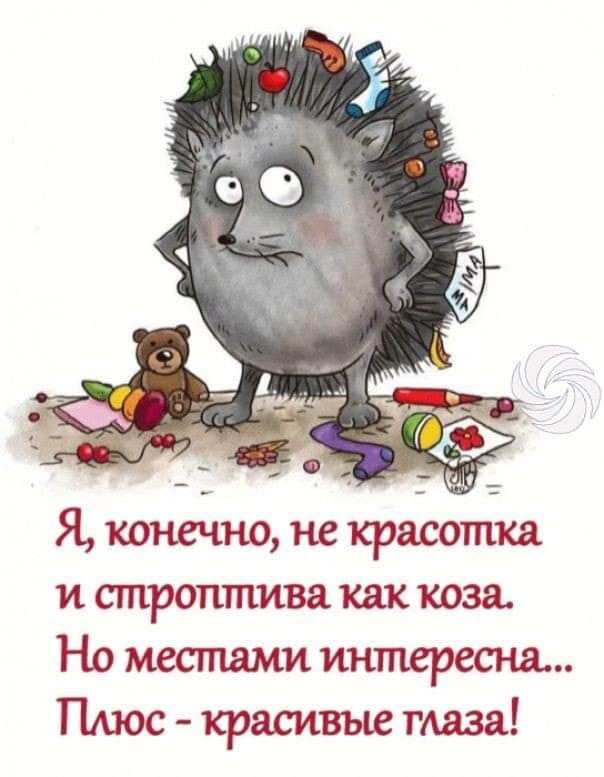 Я конечно не красотка и строптива как коза Но местами интересна ПАюс красивые таза