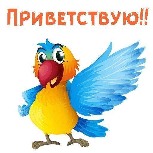 Приветствую