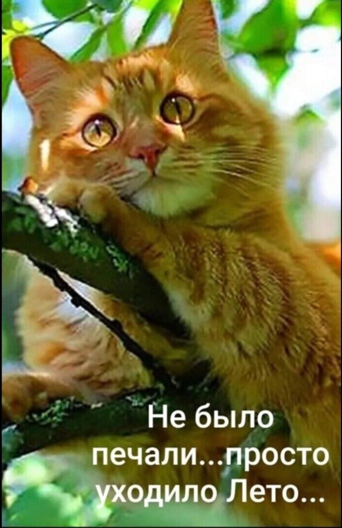 572 _ Не было печали просто ъходило ето