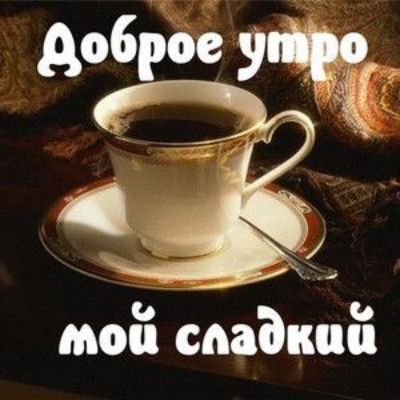 0 0 мои сладкие