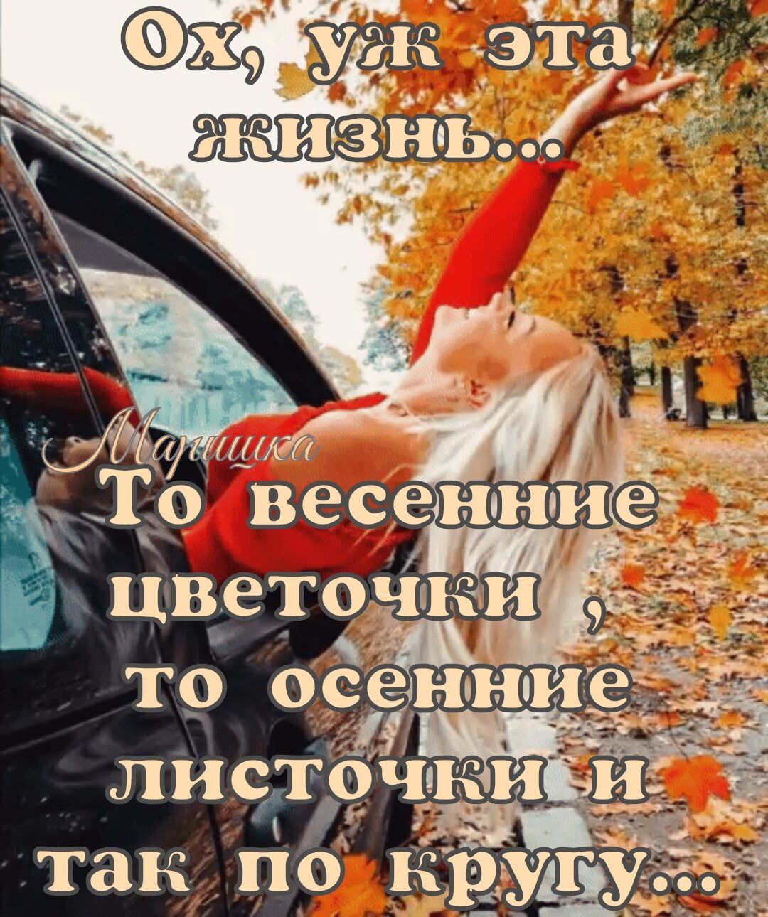 0337 жив низ Ъ А