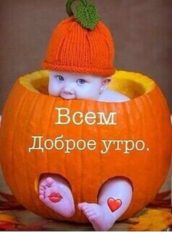 Доброе утро