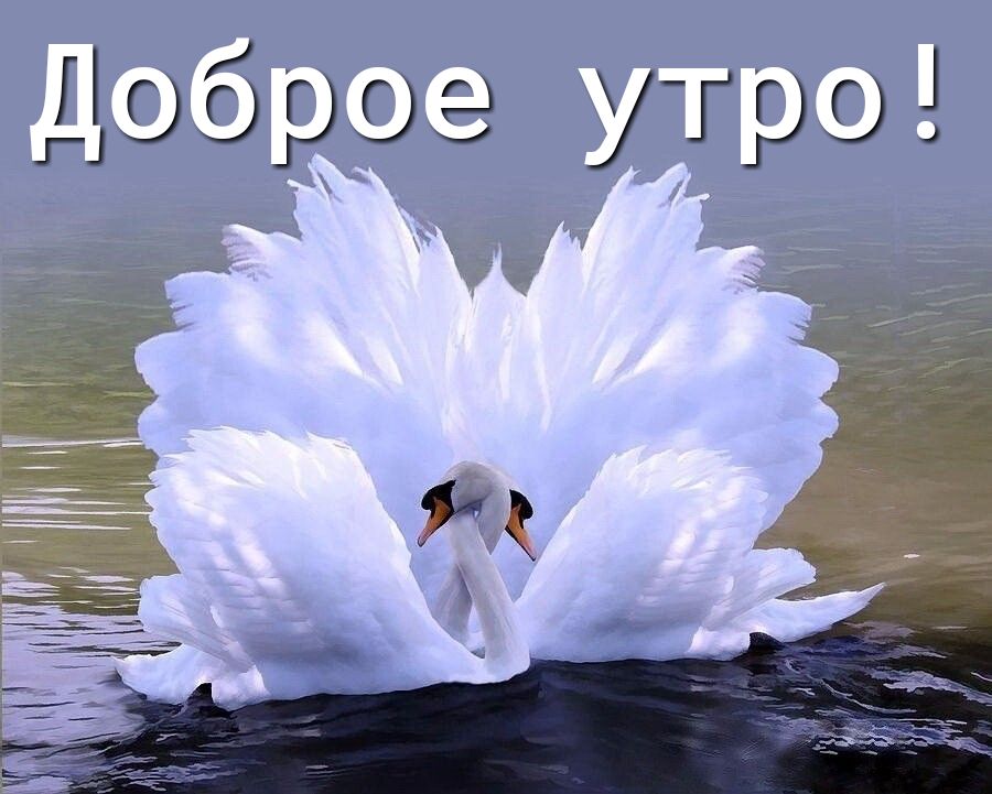 Доброе утро к 1 _ _