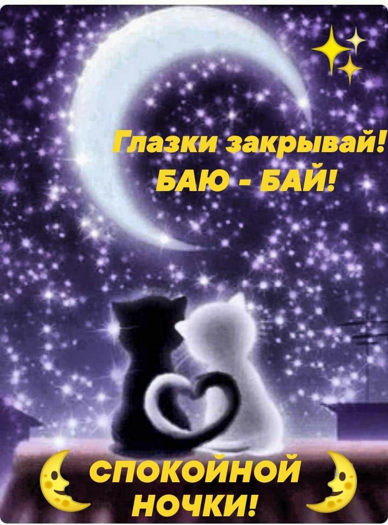 НОЧКИ