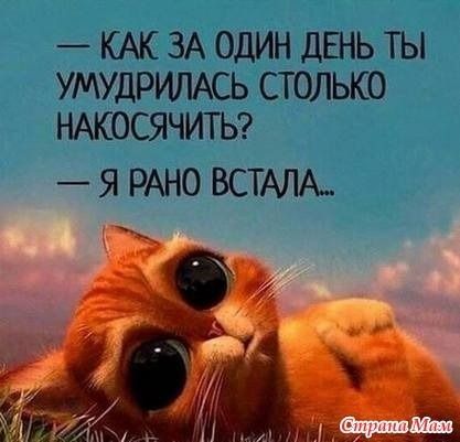 КАК ЗА ОДИН ДЕНЬ ТЫ УМУДРИЛАСЬ СТОЛЬКО НАКОСЯЧИТЬ Я РАНО ВСТАЛА