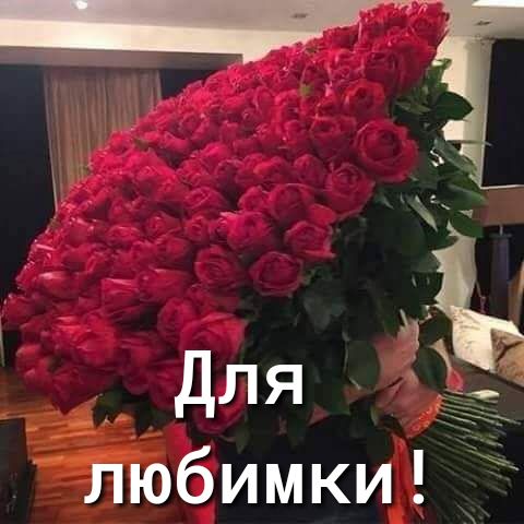 д 1 Для и любимки