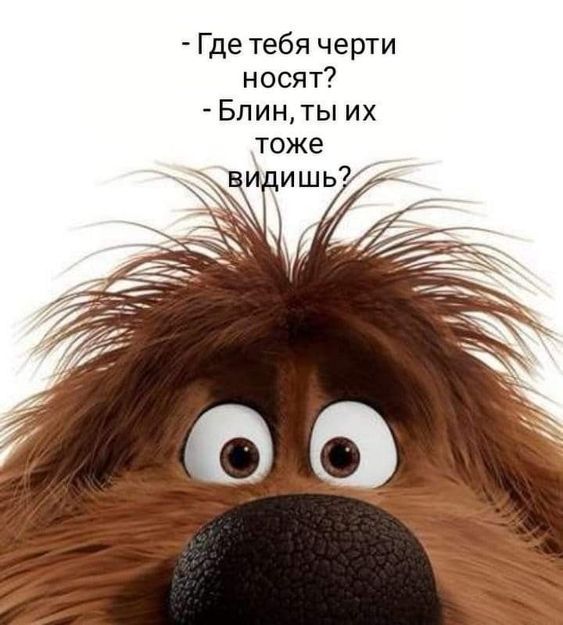 Где тебя черти носят Блин ты их
