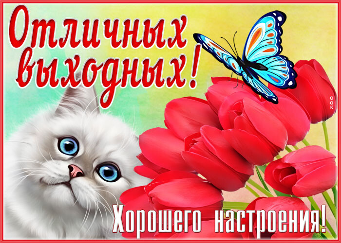 ШЦЖВЁТЮЁЬЕЁ