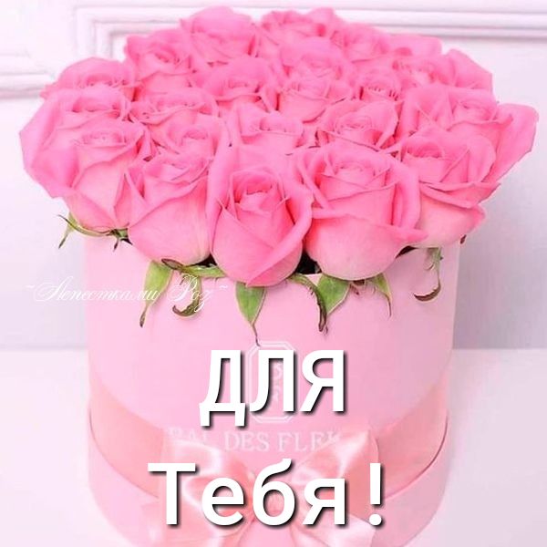 Тэоя