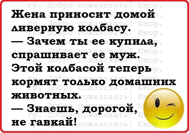 Жена приносит домой Аивериую кодбасу Зачем ты ее купида спрашивает ее муж Этой кодбасой теперь кормят тодько домашних животных Знаешь дорогой не гавкай