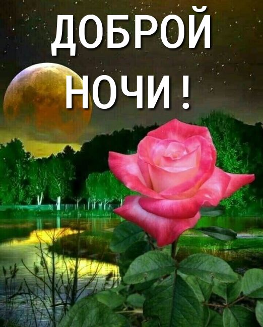 д05Р0й