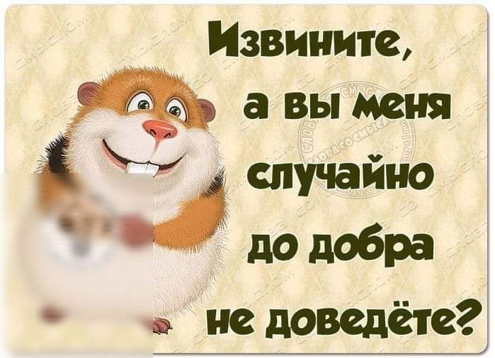 Извините _ авымеия И случайно 4 додобра недоведёте