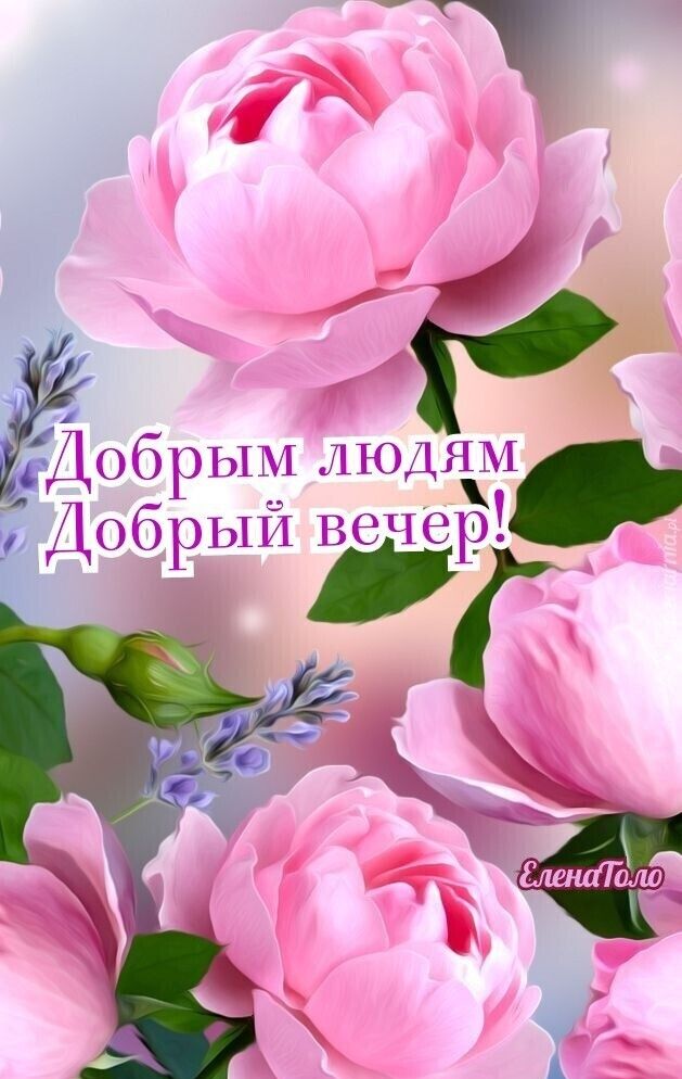 доорым ЛЮДЯЁЁЁ Добрый В6Ч вр