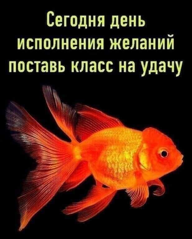 Сегодня день исполнения желаний поставь класс на удачу