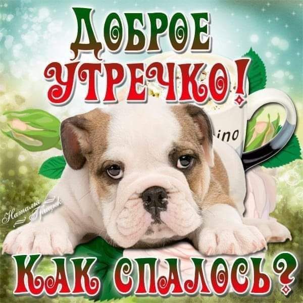 Леобрбе сччтчптппттим т  аал ы ' 24 ;