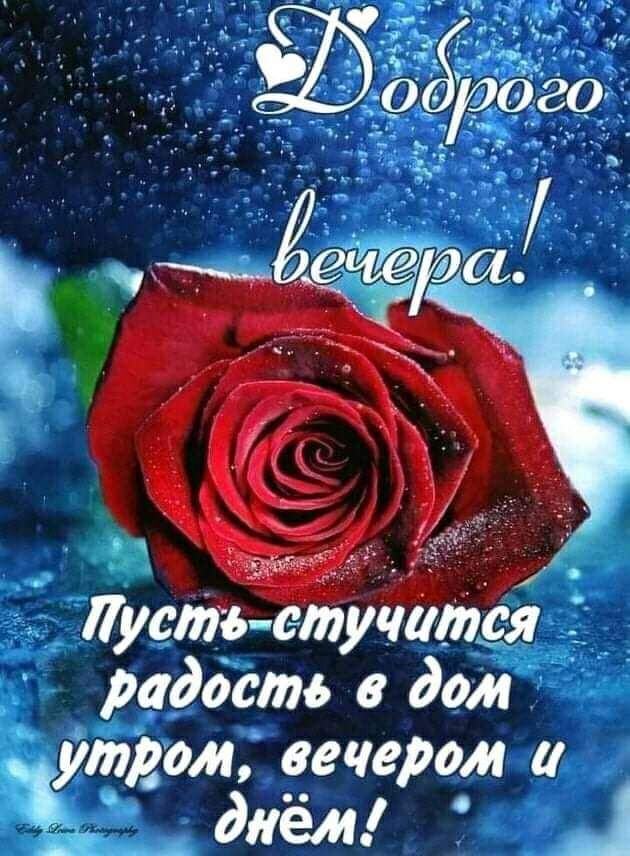 Пусть стучатся жрадддтв в дом утром вечером а даём