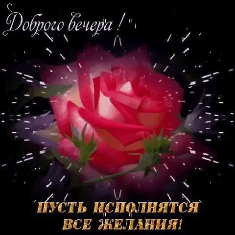 пість ис пшнятдя ВСЕ ЖЕЛАНИЯ
