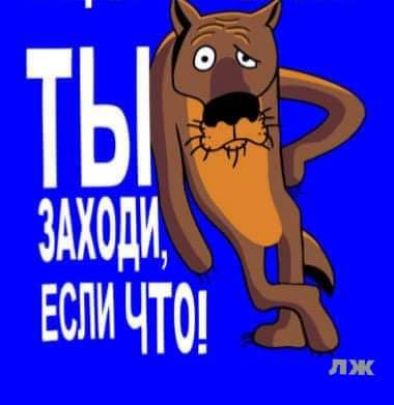 ЕСЛИ ЧТО