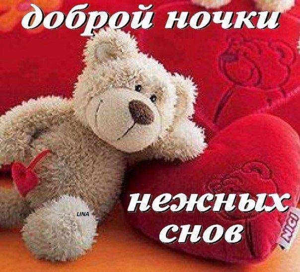 доб й нотик снов