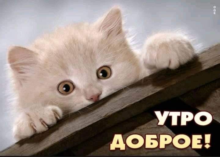 УТРО И Р довгоы