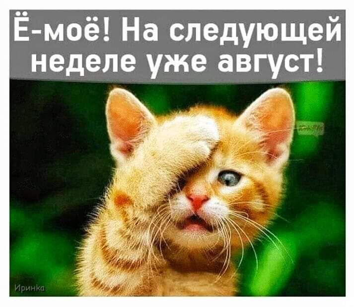 Ё моё На следующей неделе уже август