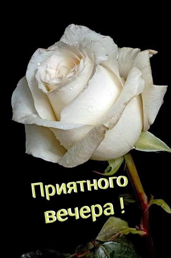 ПрИЯТНОго вечера