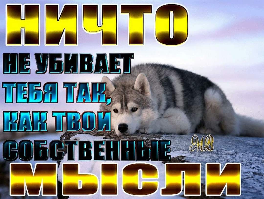 Пі ЕТБ