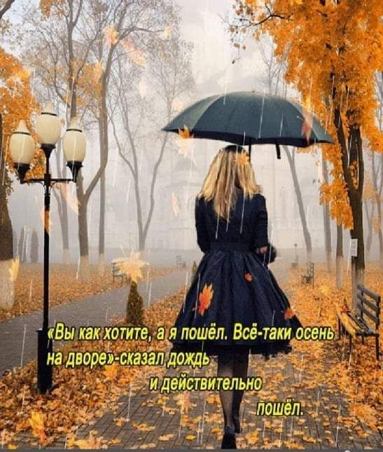 _идвйтитэлью _ пошёп_Ё