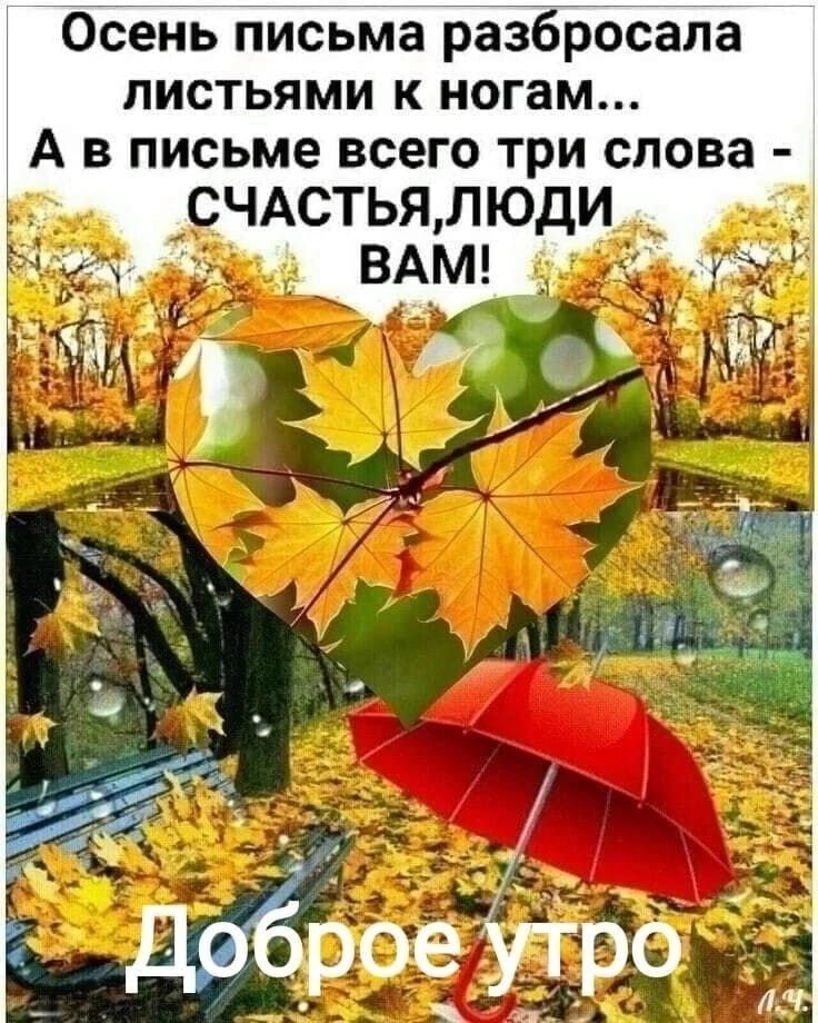 Осень письма разбросала листьями к ногам А в письме всего три слова