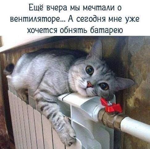 Еще вчера мы мечтаи о венгпидяторе А сегодня мне уже хочется обнять батарею