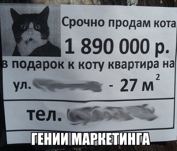1 890 000 р подарок к коту квартира на _ПЕНИШМПВНЕЧПИНГА