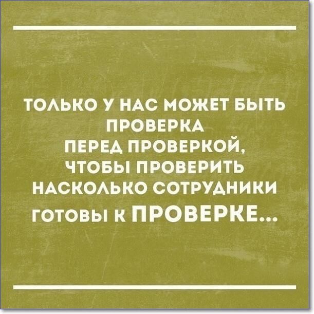 тоько у ндс может выть ПРОВЕРКА перед проввркой чтовы провврить НАСКОАЬКО сотрудники готовы к ПРОВЕРКЕ