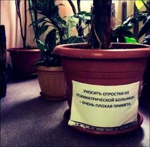пытки Прошкин _ Аричпккой воли іиь пло прит