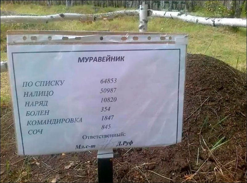 МУРАВЕЙНИК 11 НіСЗ 14853 Н 1_7П0 50987 НАРЯД 117820 354 1847 КЛ Ошсгвсппый Ы ПХП СОА И ТИНРОПСА О Ч