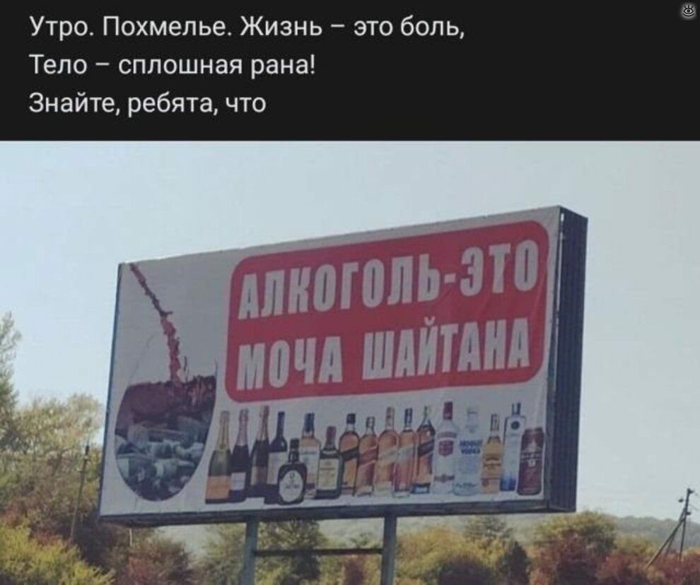 Утро Похмелье Жизнь это боль Тело сплошная рана Знайте ребята что