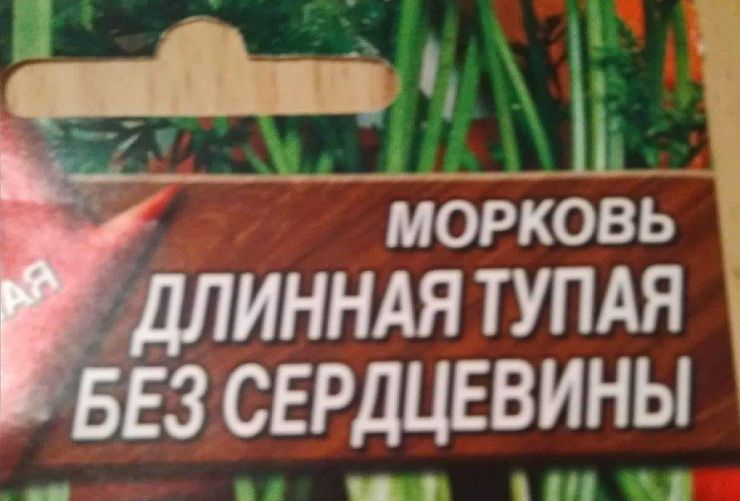 д д ___ 11 а морковь инндя тупдя з сердиввины И Ч