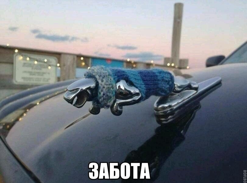 ЗдБЩд