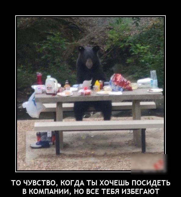 ТО ЧУВСТВО КОГДА ТЫ ХОЧЕШЬ ПОСИДЕТЬ В КОМПАНИИ НО ВСЕ ТЕБЯ ИЗБЕГАЮТ