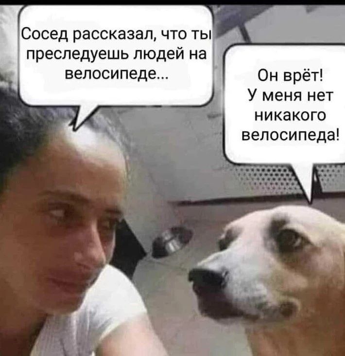 Сосед рассказал что ты преследуешь людей на велосипеде Он врёт У меня нет никакого велосипеда