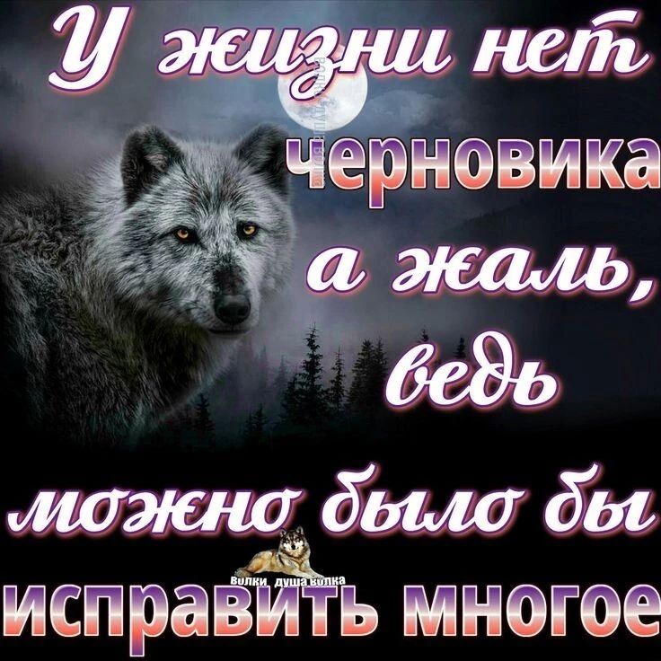 д ерневика _ испраЁЁЁ инете