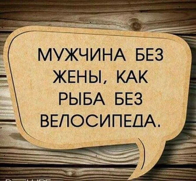 МУЖЧИНА БЕЗ ЖЕНЫ КАК РЫБА БЕЗ