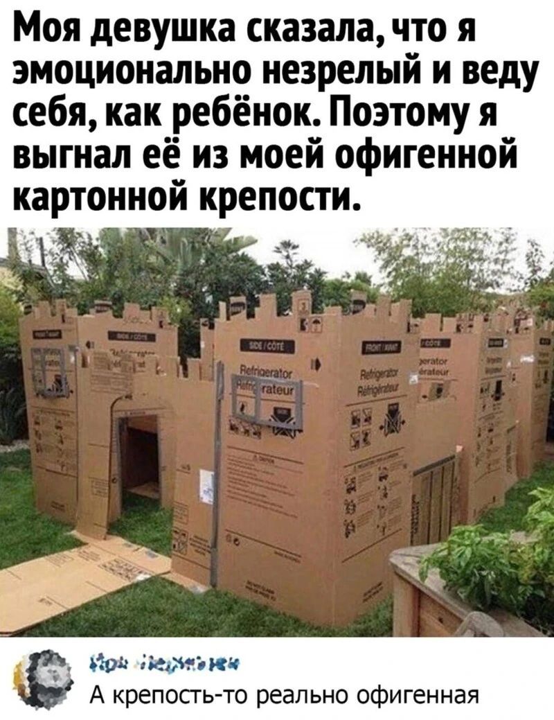 Моя девушка сказала что я эмоционально незрелый и веду себя как ребёнок Поэтому я выгнал её из моей офигенной картонной крепости _ дч _ іммэъжк А крепосгь то реально офигенная