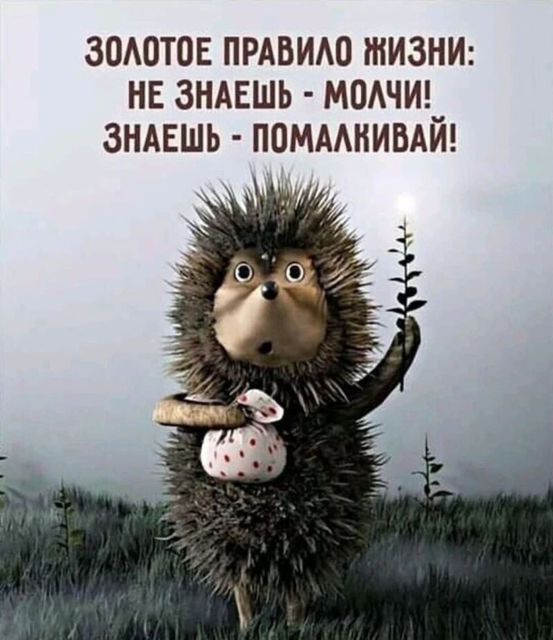 ЗОАОТОЕ ПРАВИАО ЖИЗНИ НЕ ЗНАЕШЬ МОАЧИ__ ЗНАЕШЬ ПОМААНИВАИ