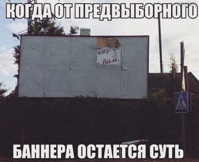 винит вишен сить