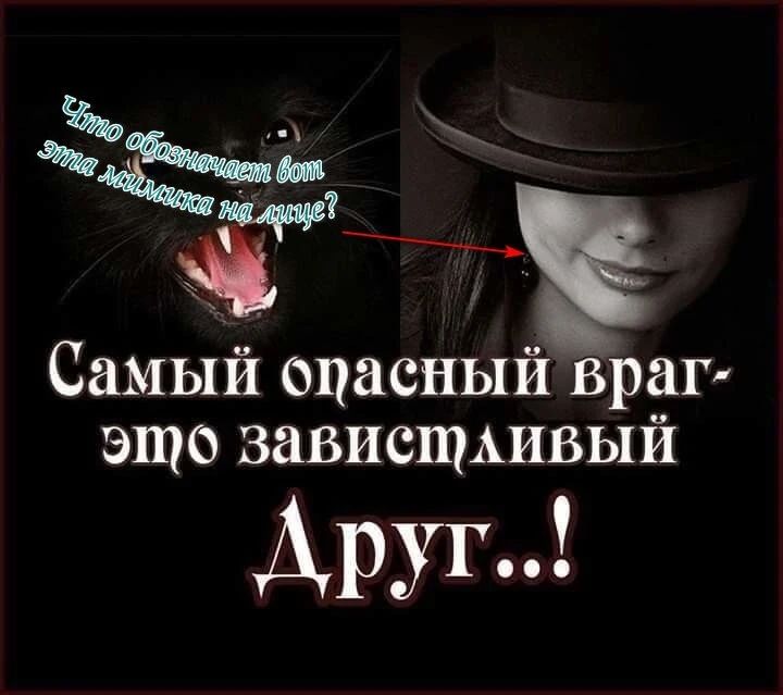 Самый опасный враг это зависщшвый Арих
