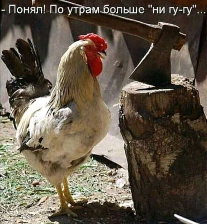 Поняп По ут М_больше ни гу гу
