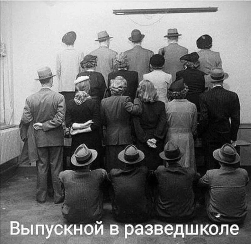Ведшколе