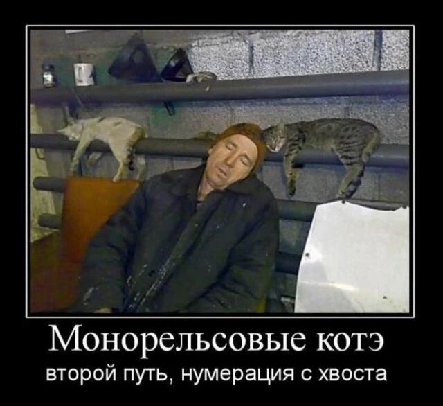 Монорельсовые котэ второй путь нумерация с хвоста